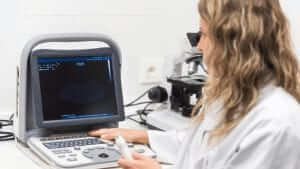 Understanding Your Sonography Program