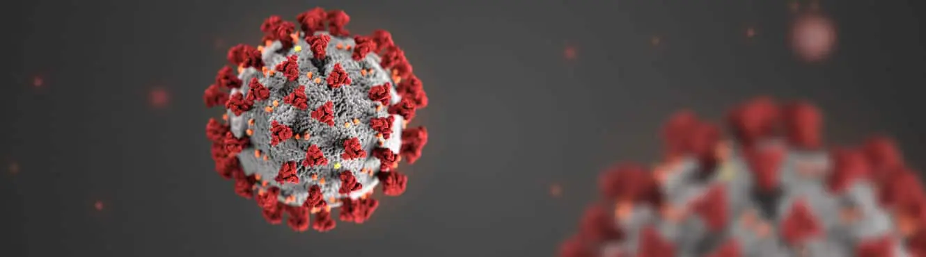 Novel Coronavirus 2019 (COVID-19) Close Up Image of the Disease