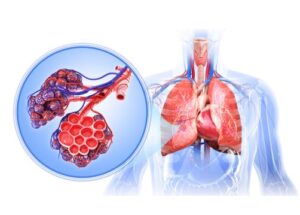 What is a Respiratory Therapist? What Do They Do?